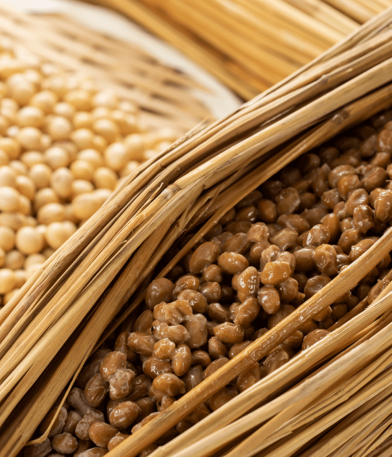 サプリメント 納豆菌 発酵している納豆