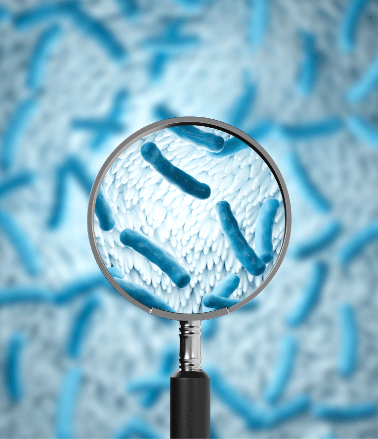 サプリメント 納豆菌 菌のイメージ