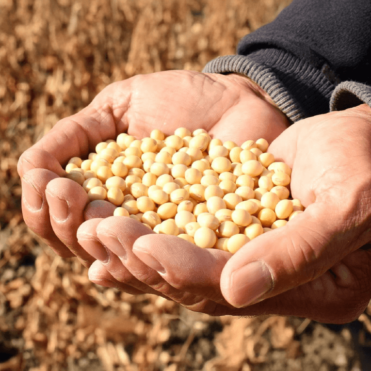 そのもの株式会社 そのもの納豆 サプリメント