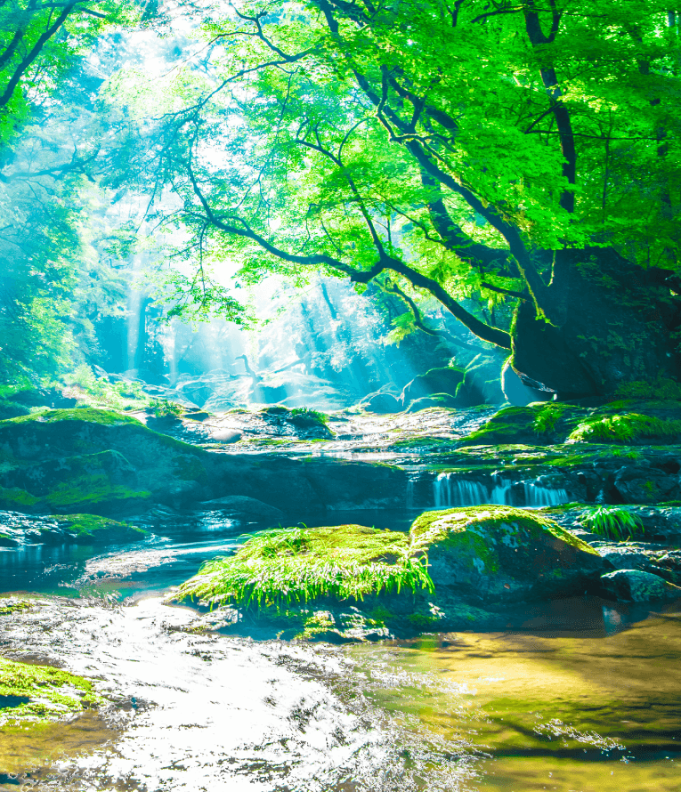 シリカ水　天然水イメージ
